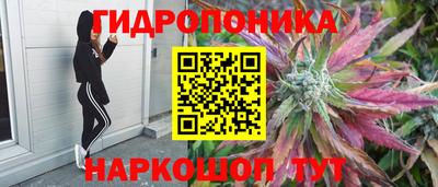 хмурый Канаш