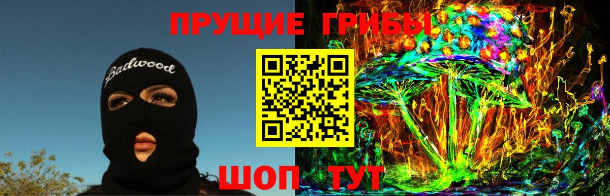 Псилоцибиновые грибы Psilocybe  Вход с VPN  Печора 